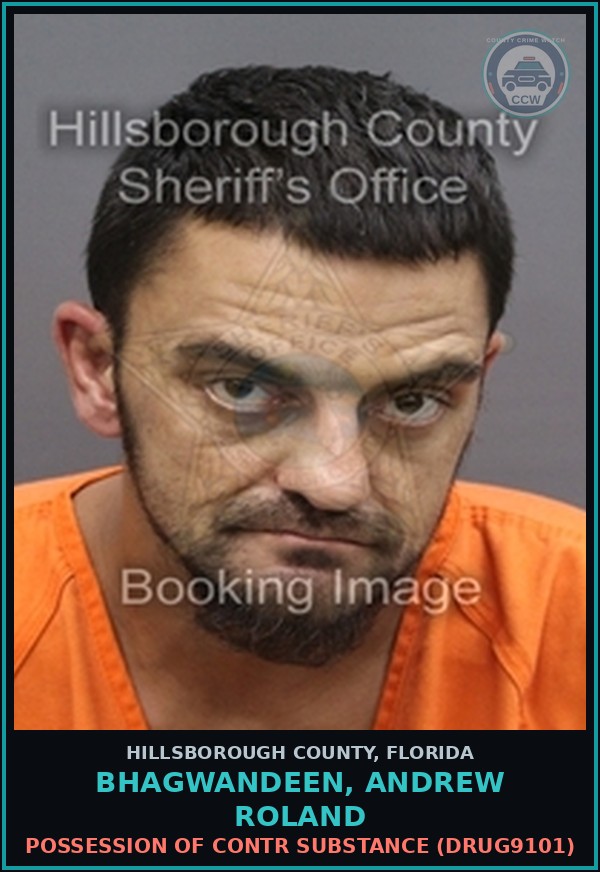 Booking mugshot of BHAGWANDEEN, ANDREW ROLAND in Hillsborough County