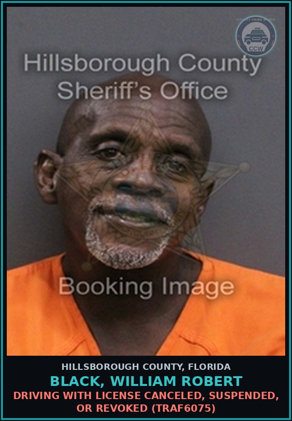 Booking mugshot of BLACK, WILLIAM ROBERT in Hillsborough County