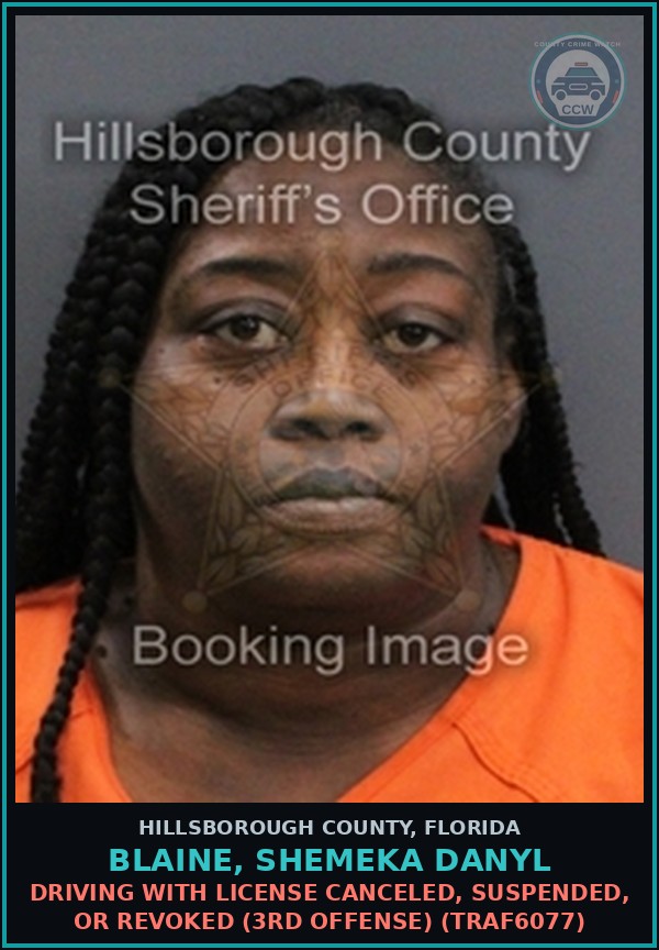 Booking mugshot of BLAINE, SHEMEKA DANYL in Hillsborough County