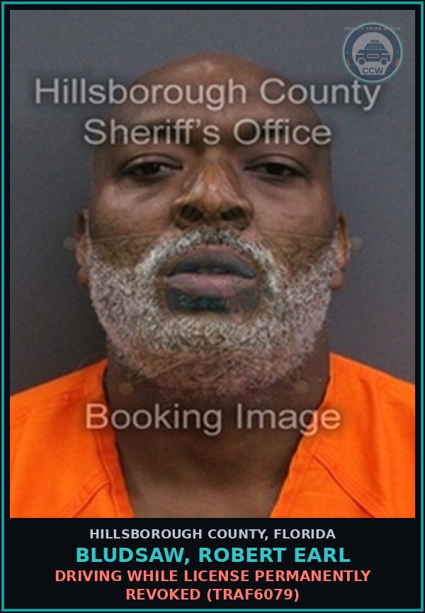 Booking mugshot of BLUDSAW, ROBERT EARL in Hillsborough County
