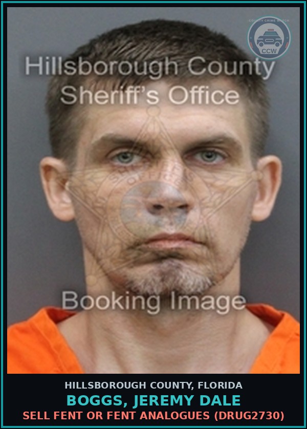 Booking mugshot of BOGGS, JEREMY DALE in Hillsborough County
