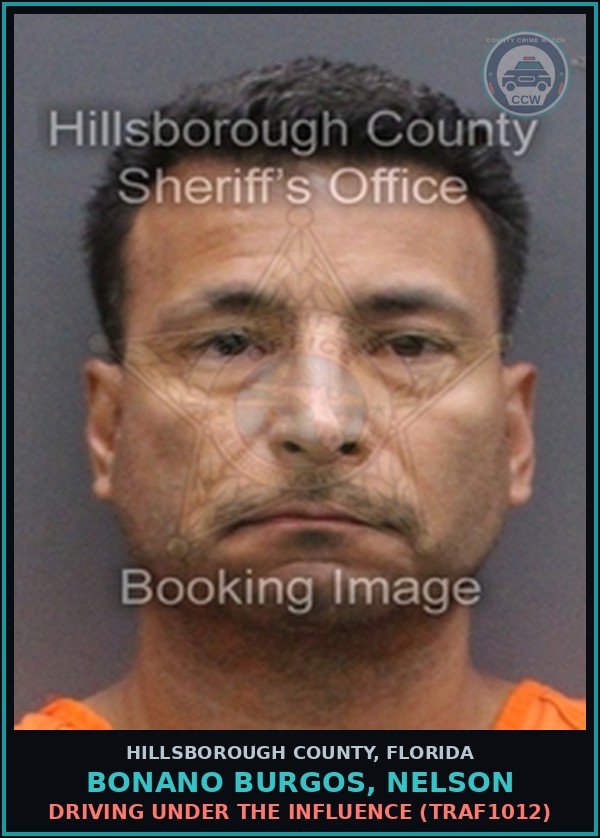 Booking mugshot of BONANO BURGOS, NELSON in Hillsborough County