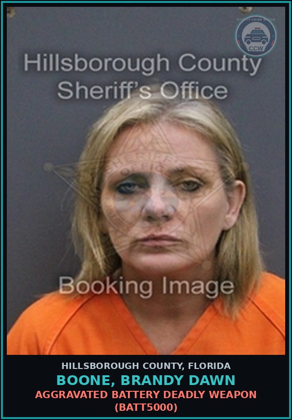 Booking mugshot of BOONE, BRANDY DAWN in Hillsborough County