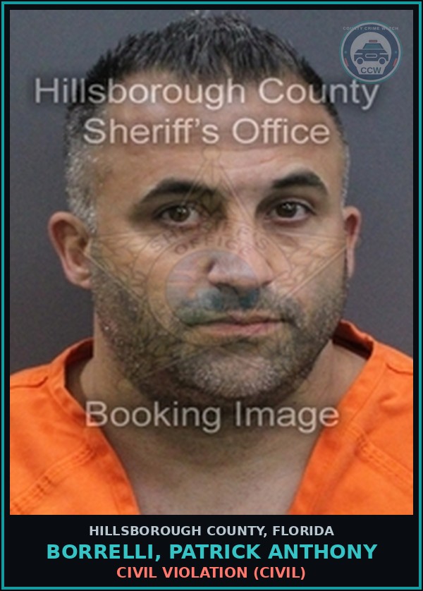 Booking mugshot of BORRELLI, PATRICK ANTHONY in Hillsborough County