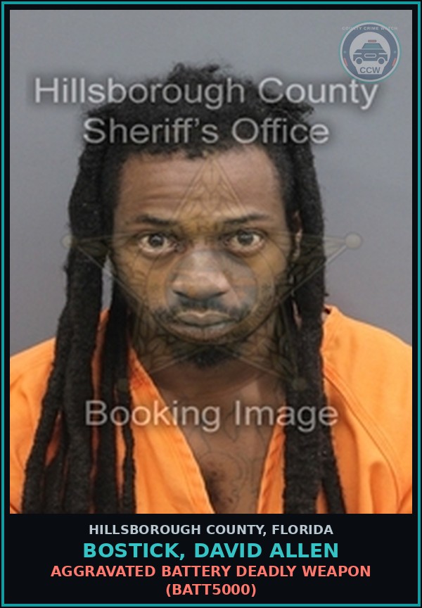 Booking mugshot of BOSTICK, DAVID ALLEN in Hillsborough County