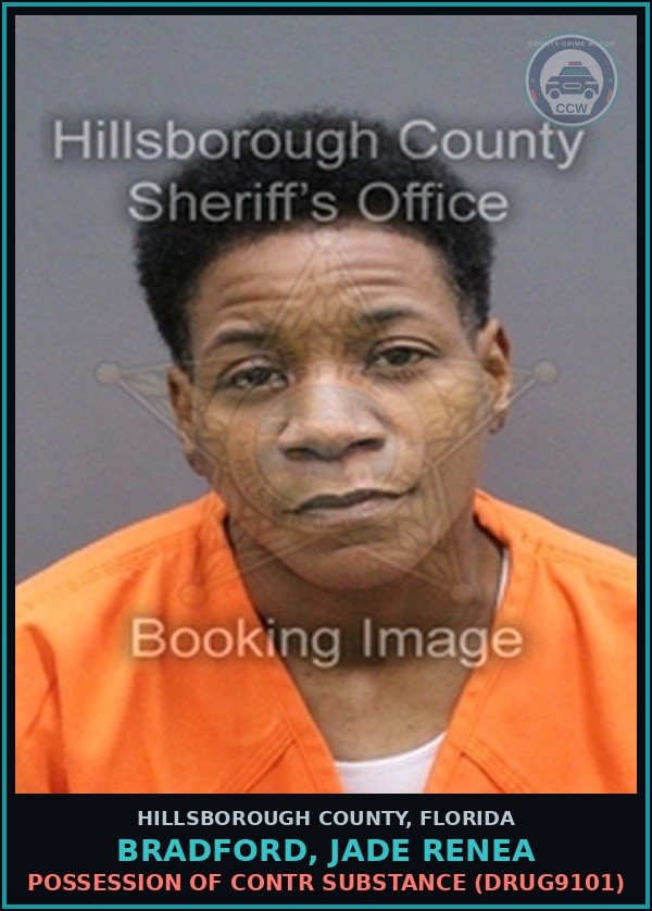 Booking mugshot of BRADFORD, JADE RENEA in Hillsborough County