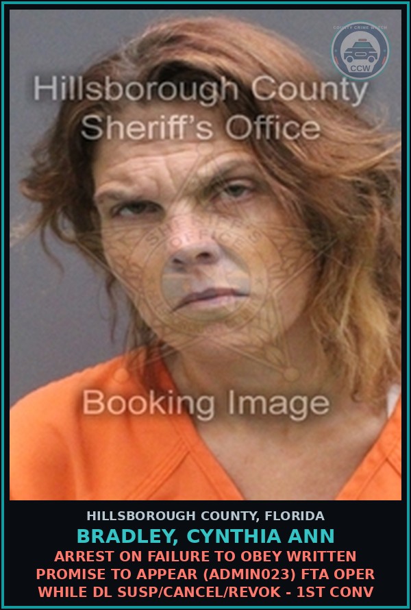 Booking mugshot of BRADLEY, CYNTHIA ANN in Hillsborough County