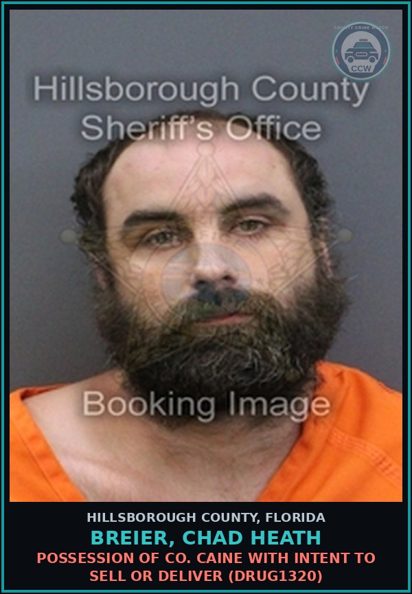 Booking mugshot of BREIER, CHAD HEATH in Hillsborough County