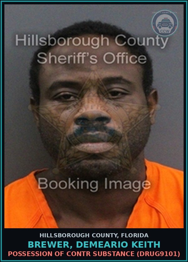 Booking mugshot of BREWER, DEMEARIO KEITH in Hillsborough County
