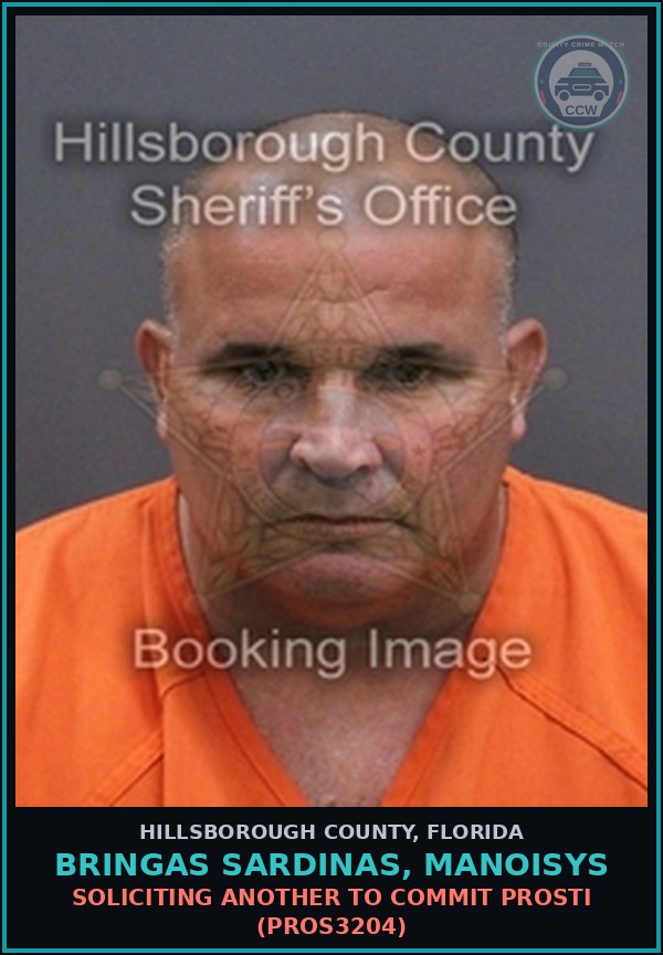 Booking mugshot of BRINGAS SARDINAS, MANOISYS in Hillsborough County
