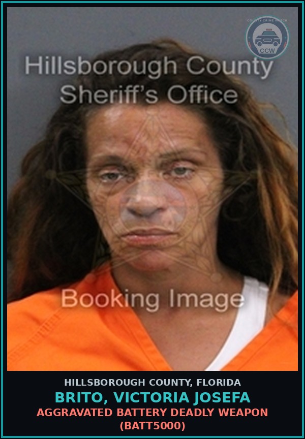 Booking mugshot of BRITO, VICTORIA JOSEFA in Hillsborough County