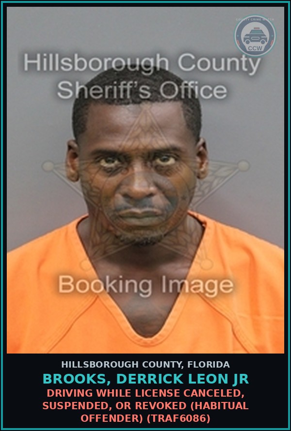 Booking mugshot of BROOKS, DERRICK LEON JR in Hillsborough County