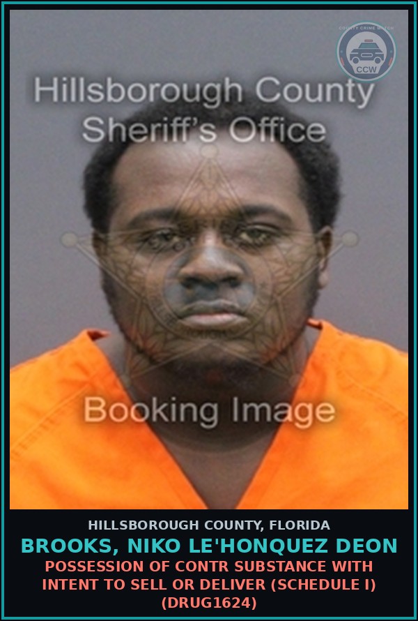 Booking mugshot of BROOKS, NIKO LE'HONQUEZ DEON in Hillsborough County