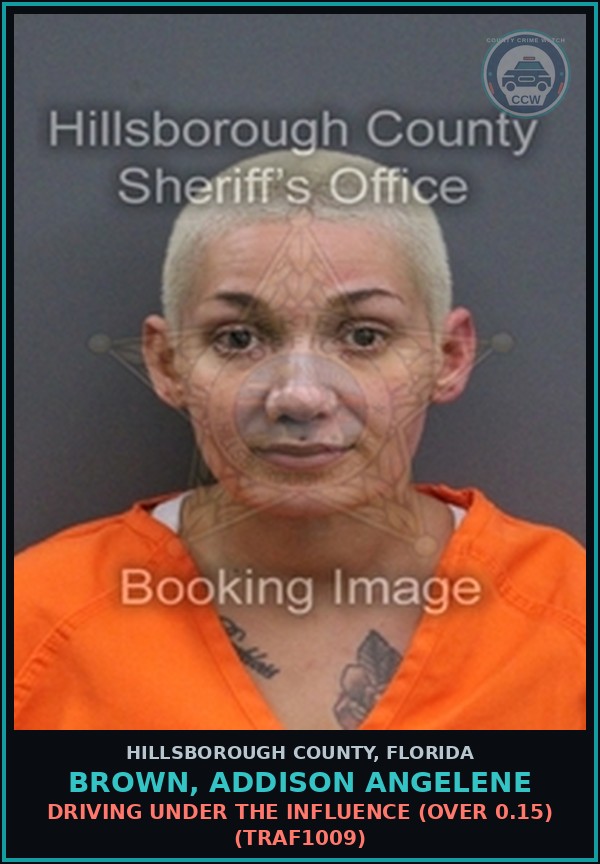 Booking mugshot of BROWN, ADDISON ANGELENE in Hillsborough County