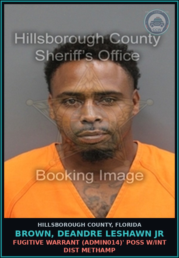 Booking mugshot of BROWN, DEANDRE LESHAWN JR in Hillsborough County