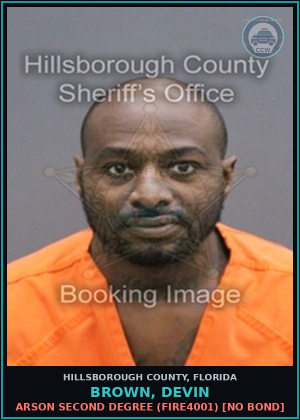 Booking mugshot of BROWN, DEVIN in Hillsborough County
