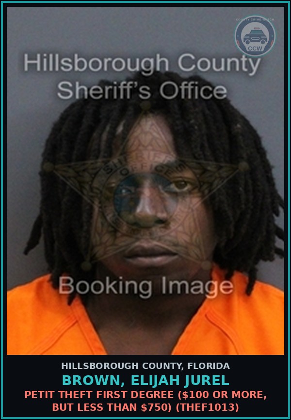 Booking mugshot of BROWN, ELIJAH JUREL in Hillsborough County