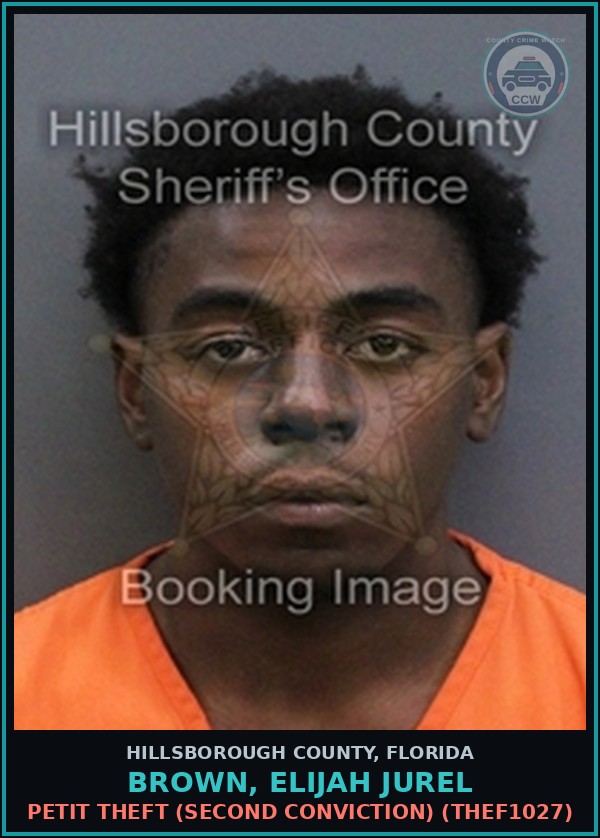 Booking mugshot of BROWN, ELIJAH JUREL in Hillsborough County