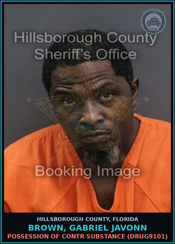 Booking mugshot of BROWN, GABRIEL JAVONN in Hillsborough County