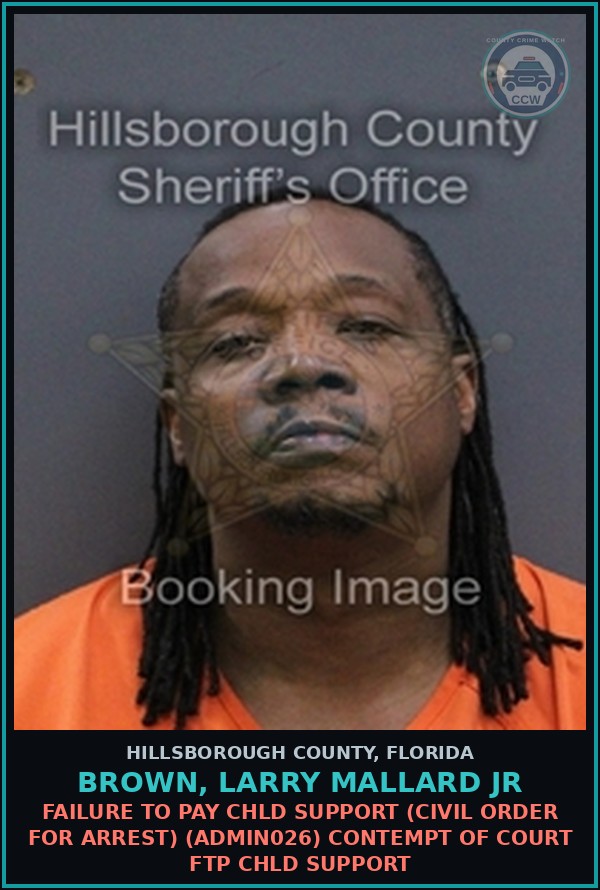 Booking mugshot of BROWN, LARRY MALLARD JR in Hillsborough County