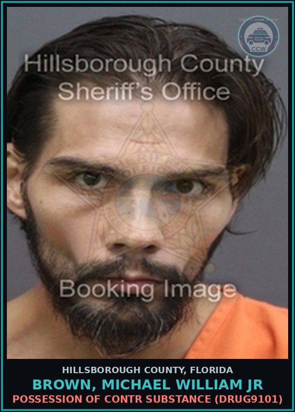 Booking mugshot of BROWN, MICHAEL WILLIAM JR in Hillsborough County