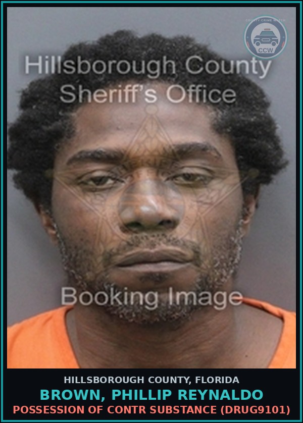 Booking mugshot of BROWN, PHILLIP REYNALDO in Hillsborough County