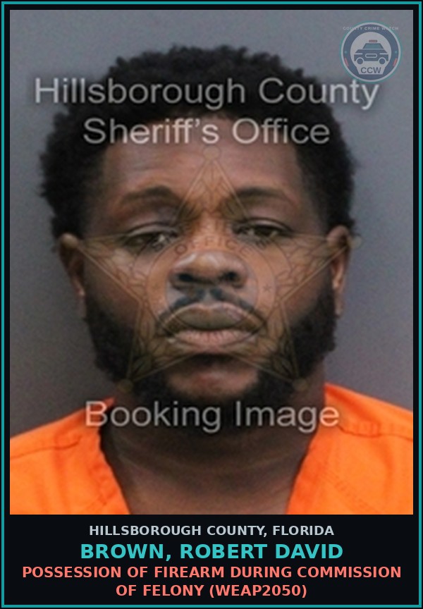 Booking mugshot of BROWN, ROBERT DAVID in Hillsborough County