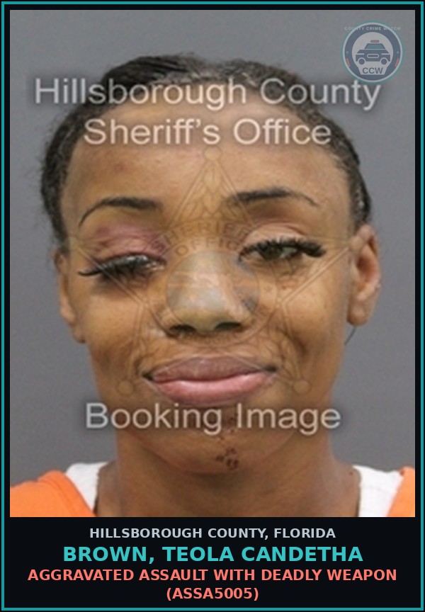 Booking mugshot of BROWN, TEOLA CANDETHA in Hillsborough County