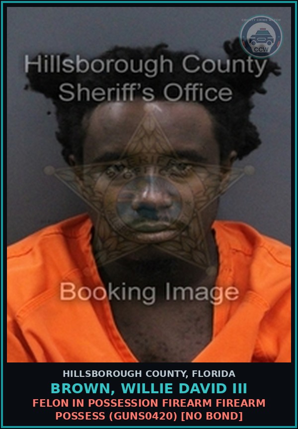 Booking mugshot of BROWN, WILLIE DAVID III in Hillsborough County
