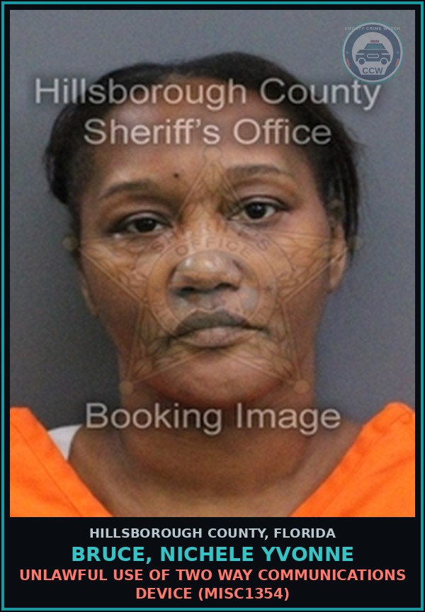 Booking mugshot of BRUCE, NICHELE YVONNE in Hillsborough County