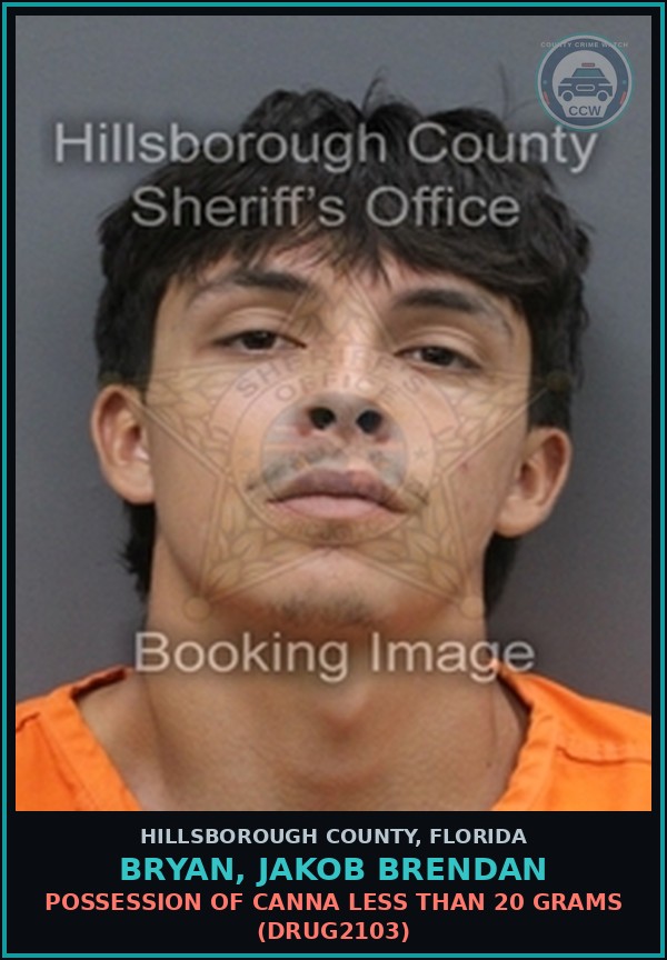 Booking mugshot of BRYAN, JAKOB BRENDAN in Hillsborough County