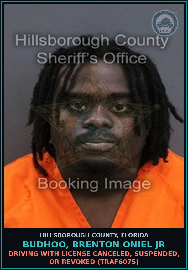 Booking mugshot of BUDHOO, BRENTON ONIEL JR in Hillsborough County