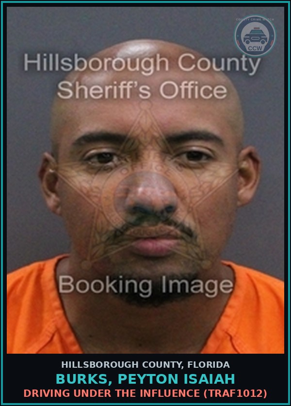 Booking mugshot of BURKS, PEYTON ISAIAH in Hillsborough County