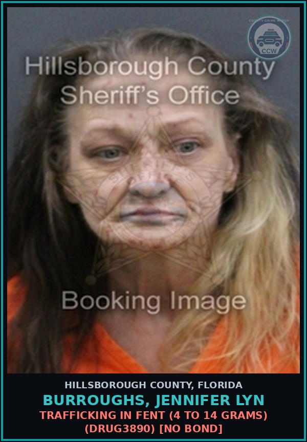 Booking mugshot of BURROUGHS, JENNIFER LYN in Hillsborough County