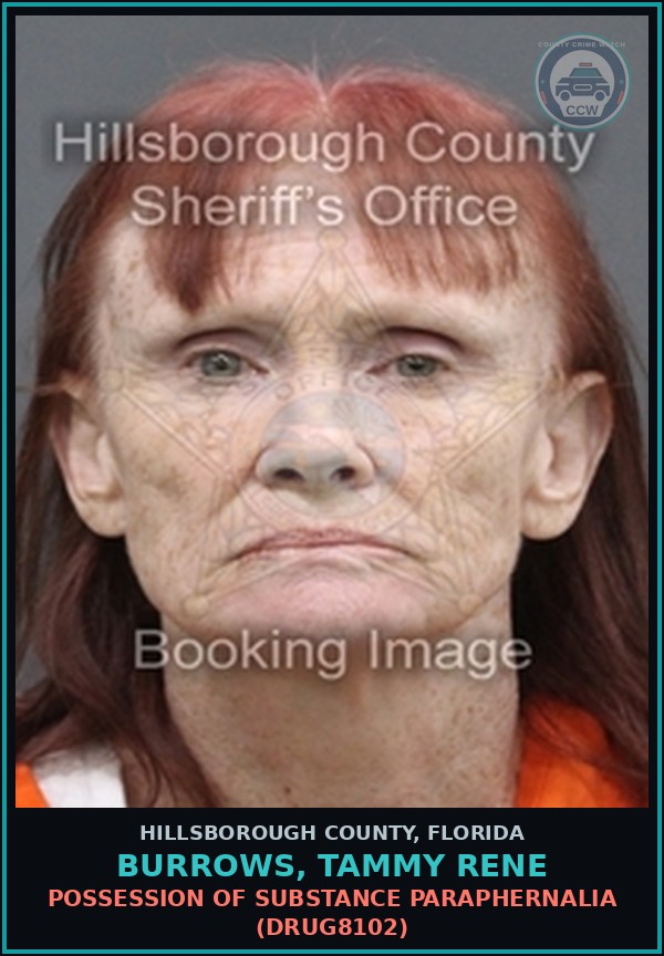 Booking mugshot of BURROWS, TAMMY RENE in Hillsborough County
