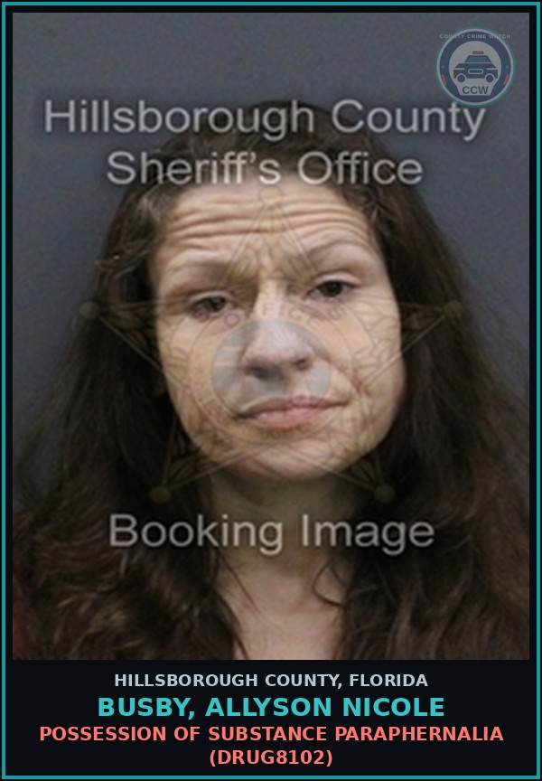 Booking mugshot of BUSBY, ALLYSON NICOLE in Hillsborough County