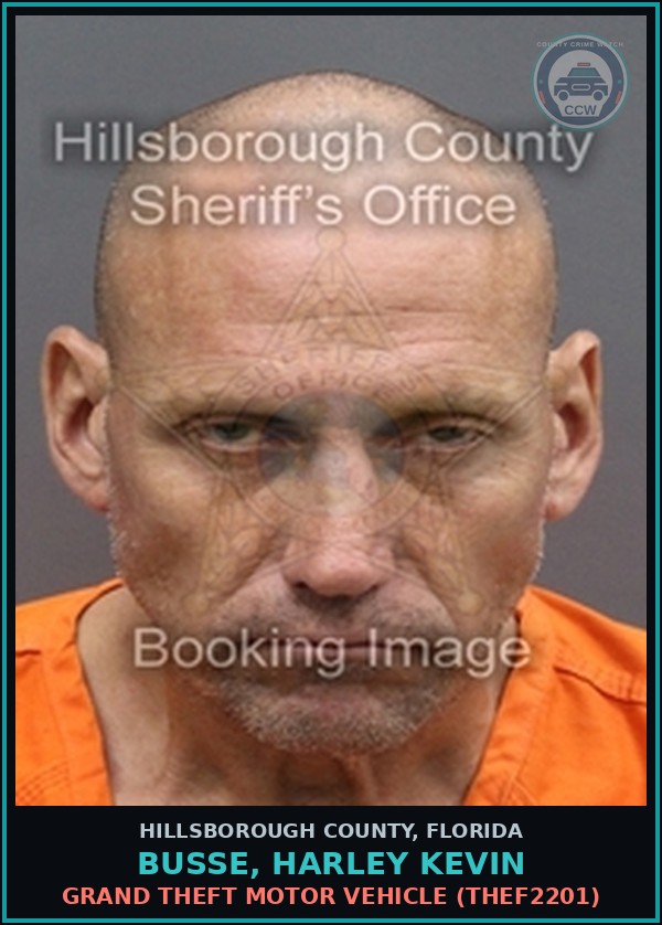 Booking mugshot of BUSSE, HARLEY KEVIN in Hillsborough County