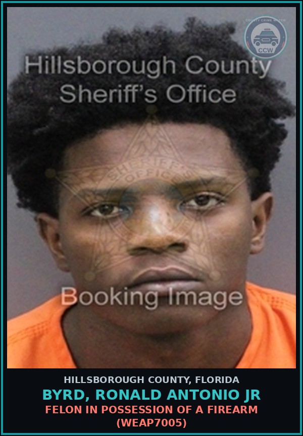 Booking mugshot of BYRD, RONALD ANTONIO JR in Hillsborough County