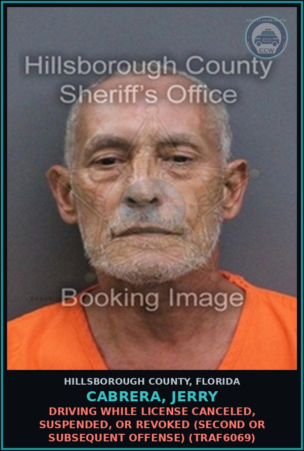 Booking mugshot of CABRERA, JERRY in Hillsborough County