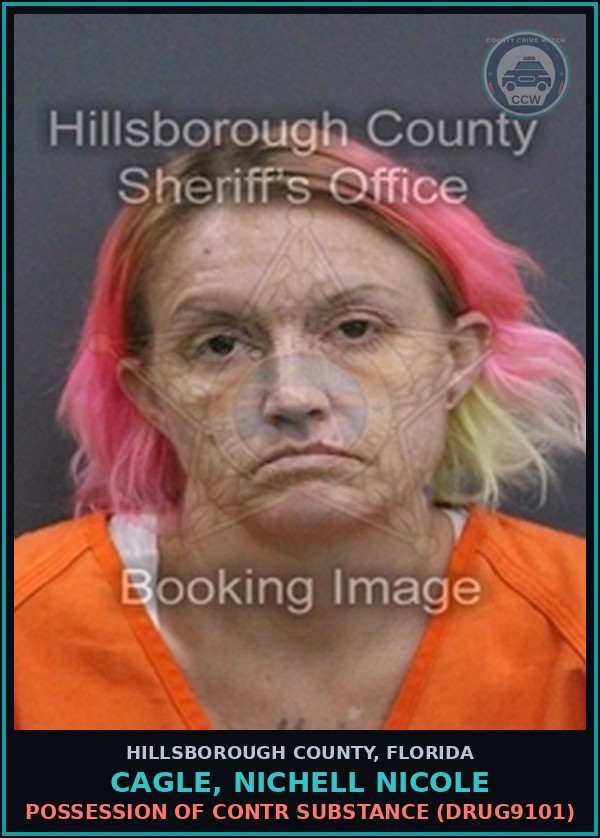 Booking mugshot of CAGLE, NICHELL NICOLE in Hillsborough County