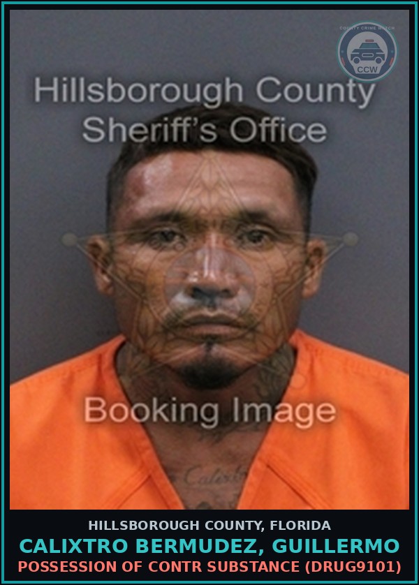 Booking mugshot of CALIXTRO BERMUDEZ, GUILLERMO in Hillsborough County
