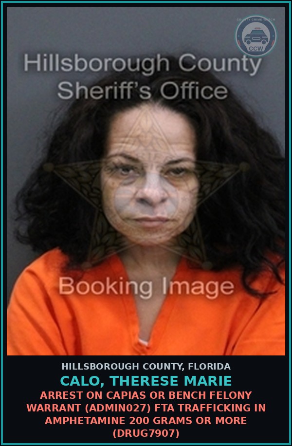Booking mugshot of CALO, THERESE MARIE in Hillsborough County