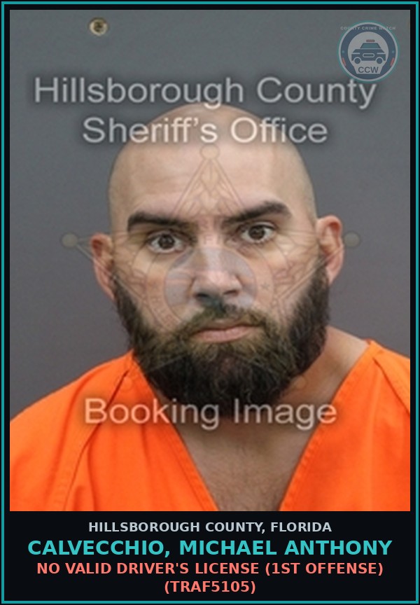 Booking mugshot of CALVECCHIO, MICHAEL ANTHONY in Hillsborough County