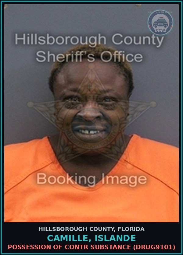 Booking mugshot of CAMILLE, ISLANDE in Hillsborough County