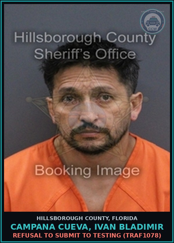 Booking mugshot of CAMPANA CUEVA, IVAN BLADIMIR in Hillsborough County