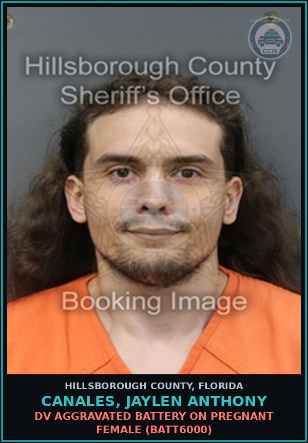 Booking mugshot of CANALES, JAYLEN ANTHONY in Hillsborough County