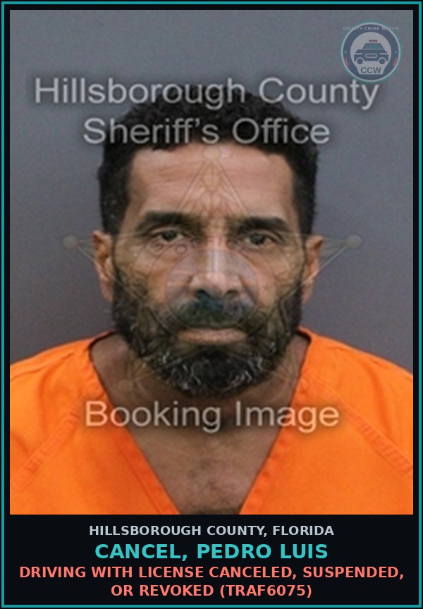 Booking mugshot of CANCEL, PEDRO LUIS in Hillsborough County