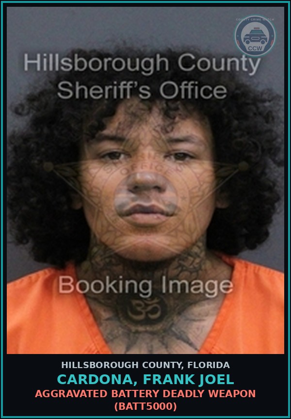Booking mugshot of CARDONA, FRANK JOEL in Hillsborough County