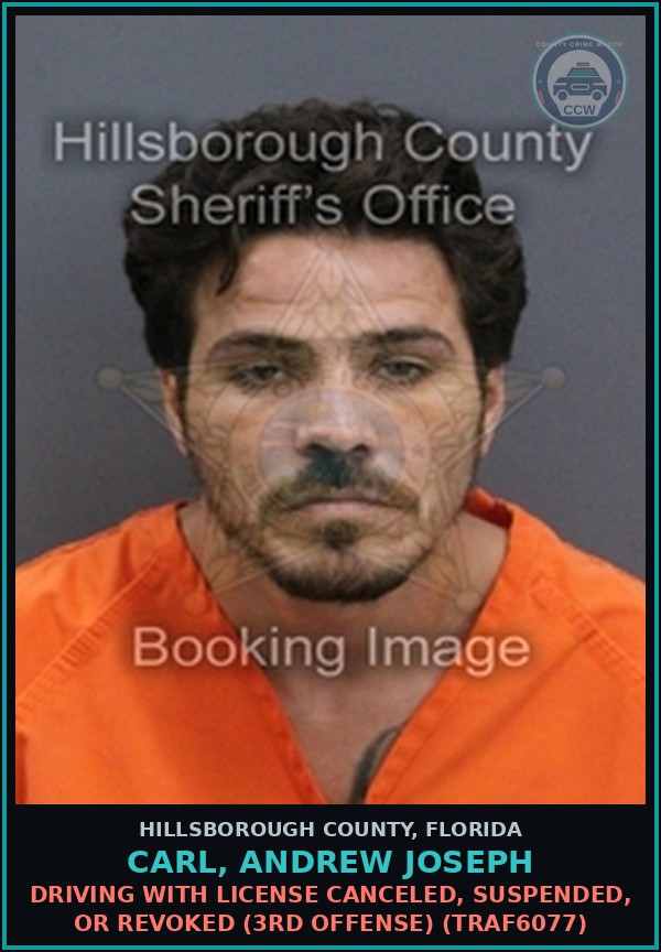 Booking mugshot of CARL, ANDREW JOSEPH in Hillsborough County