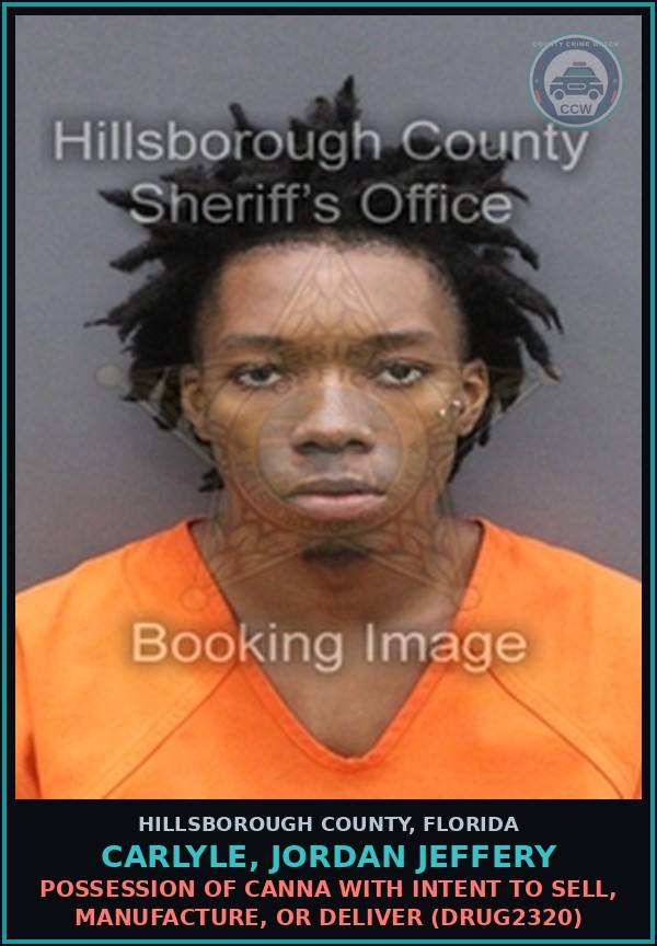 Booking mugshot of CARLYLE, JORDAN JEFFERY in Hillsborough County